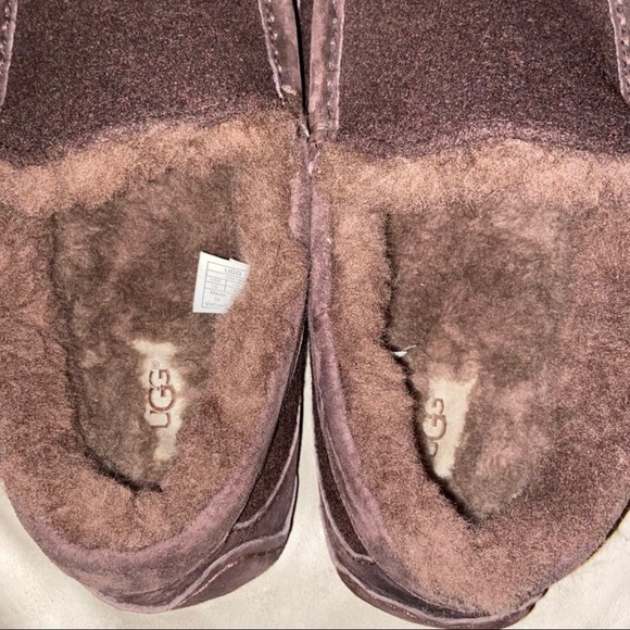 NWOT UGG Ascot Slippers Mens 10 Brown Suede Wool - Picture 3 of 5